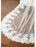 Cathedral Lace Bridal Wedding Veil